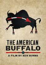 Watch The American Buffalo 9Movies