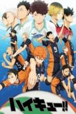 Watch Haikyuu!! 9Movies
