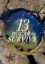 Watch 13 Hours to Survive 9Movies
