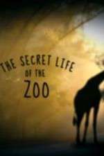Watch The Secret Life of the Zoo 9Movies