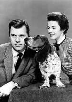 Watch The People\'s Choice 9Movies