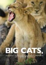 Watch Big Cats, Small World 9Movies