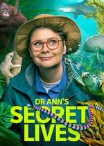 Watch Dr Ann\'s Secret Lives 9Movies